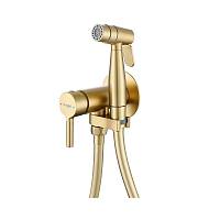Гигиенический душ со смесителем встраиваемый Raglo R20.54.03, сатин золотой
