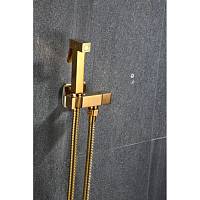 Гигиенический душ без смесителя Savol S-FXQ009B, золото