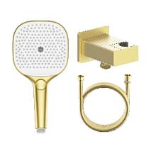 Лейка для душа с держателем (с подключением шланга) и шлангом Raglo R476.40.03, золотой сатин